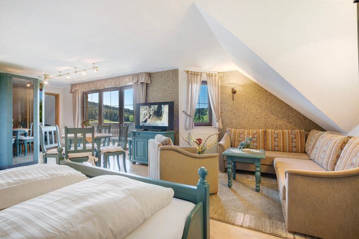 Studio für 4 Personen, mit Balkon im Erzgebirge - 3