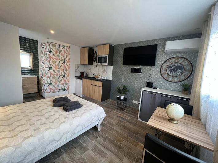 Gîte pour 2 personnes, avec jardin et jacuzzi à Tassin-la-Demi-Lune - 2