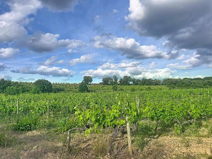 Location de vacances pour 2 personnes, avec piscine ainsi que jardin et vue à Pierrerue - 4