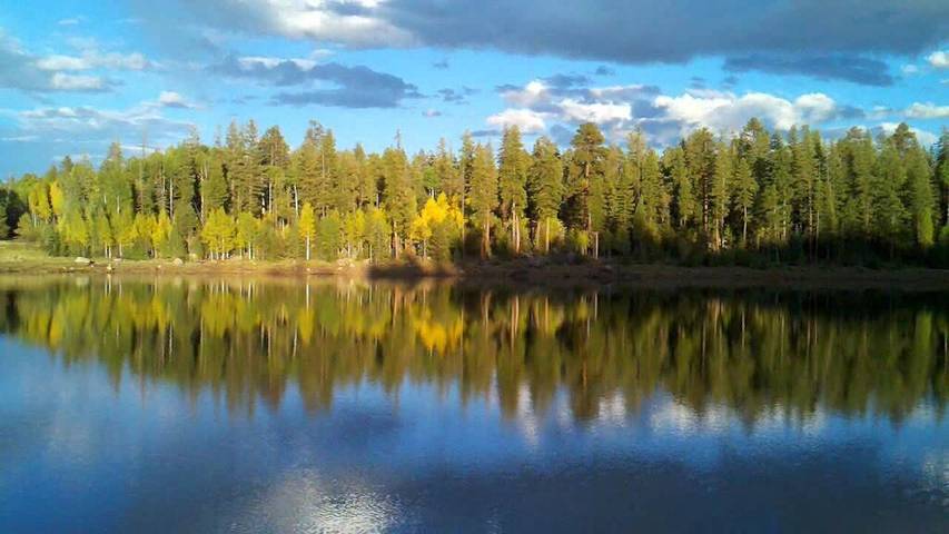 Vacation rental for 14 people, with hot tub and balcony, with pets in Show Low