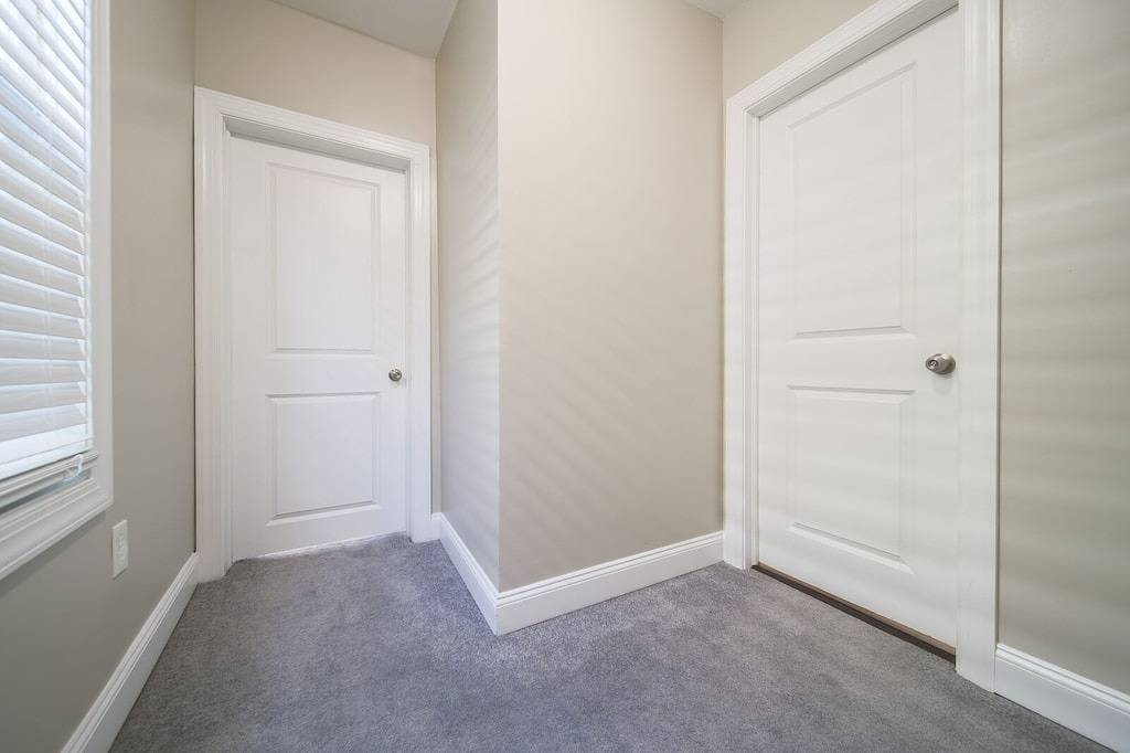 Nyc Urban Getaway 10 Min to Newark Penn Station in Newark, Essex County (NJ)