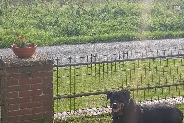 Ferienhaus für 4 Personen, mit Garten, mit Haustier in Offenbüttel