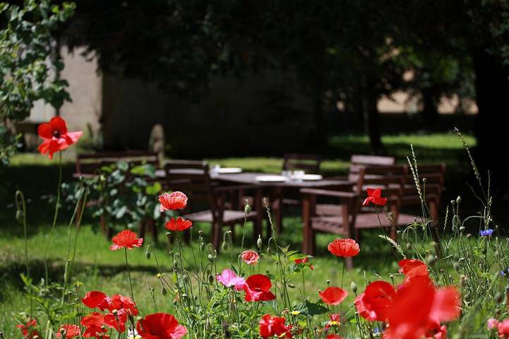 Gîte pour 6 personnes, avec piscine et jardin, animaux acceptés à Vouneuil-sur-Vienne - 3