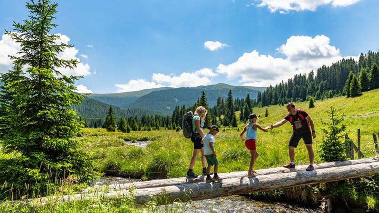 Ferienhaus für 4 Personen (100 m²) in Metnitz in Metnitz, Mittelkärnten