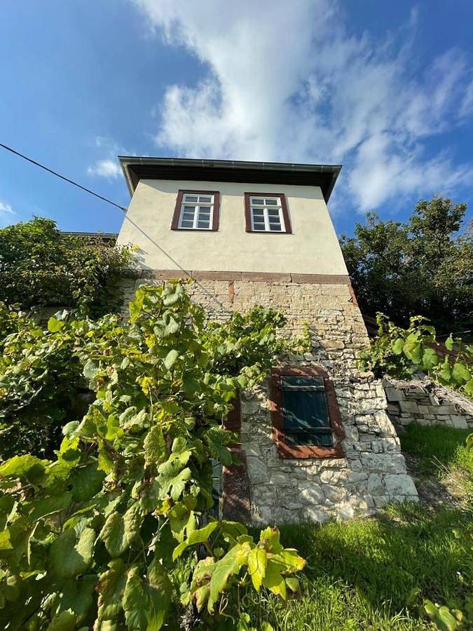 Ferienhaus Traminer im Weinberg in Freyburg (Unstrut), Saale-Unstrut