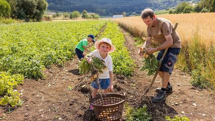 Bauernhof für 3 Personen, mit Garten und Sauna, kinderfreundlich in Naturpark Obere Donau