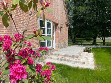 Bnb für 6 Personen in Meezen, Schleswig-Holstein Binnenland, Bild 3