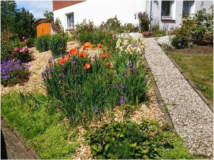 Ferienhaus für 3 Personen, mit Garten, kinderfreundlich in Altes Land Stade - 4