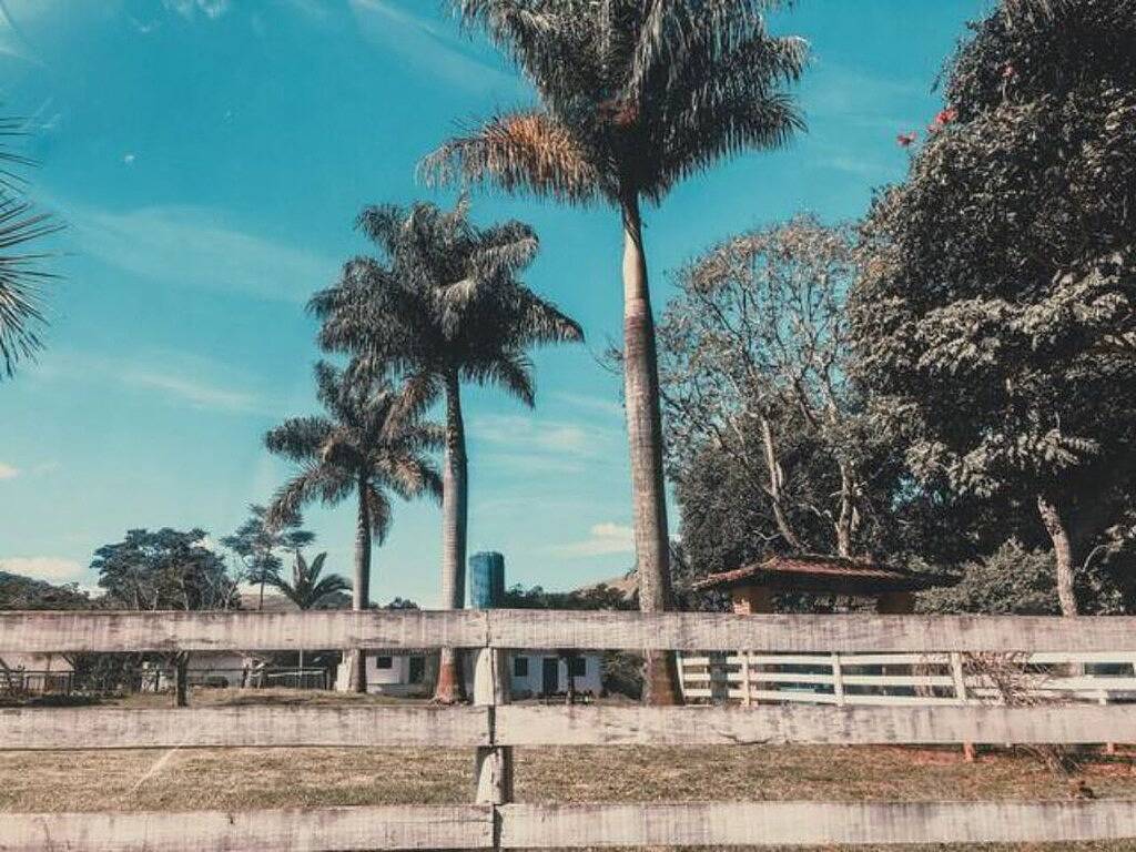 Fazenda Bonanza in Minas Gerais