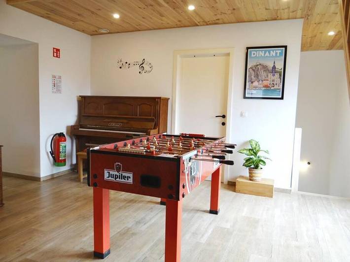 Location de vacances pour 6 personnes, avec terrasse et jardin à Onhaye - 2