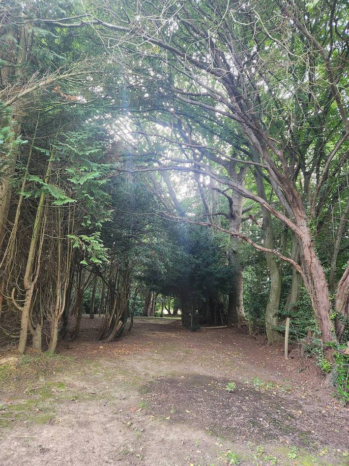 Baumhaus im Secret Garden in Biddenden, Ashford und Umgebung
