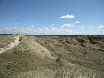 Ferieudlejning til 12 Personer i Vesterhavet, Billede 3