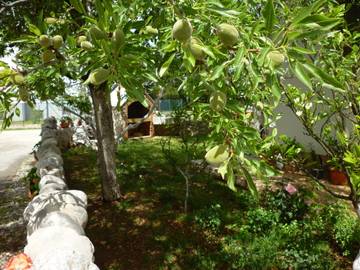 Apartment for 2 People in Seline, Velebit Nature Park, Photo 4