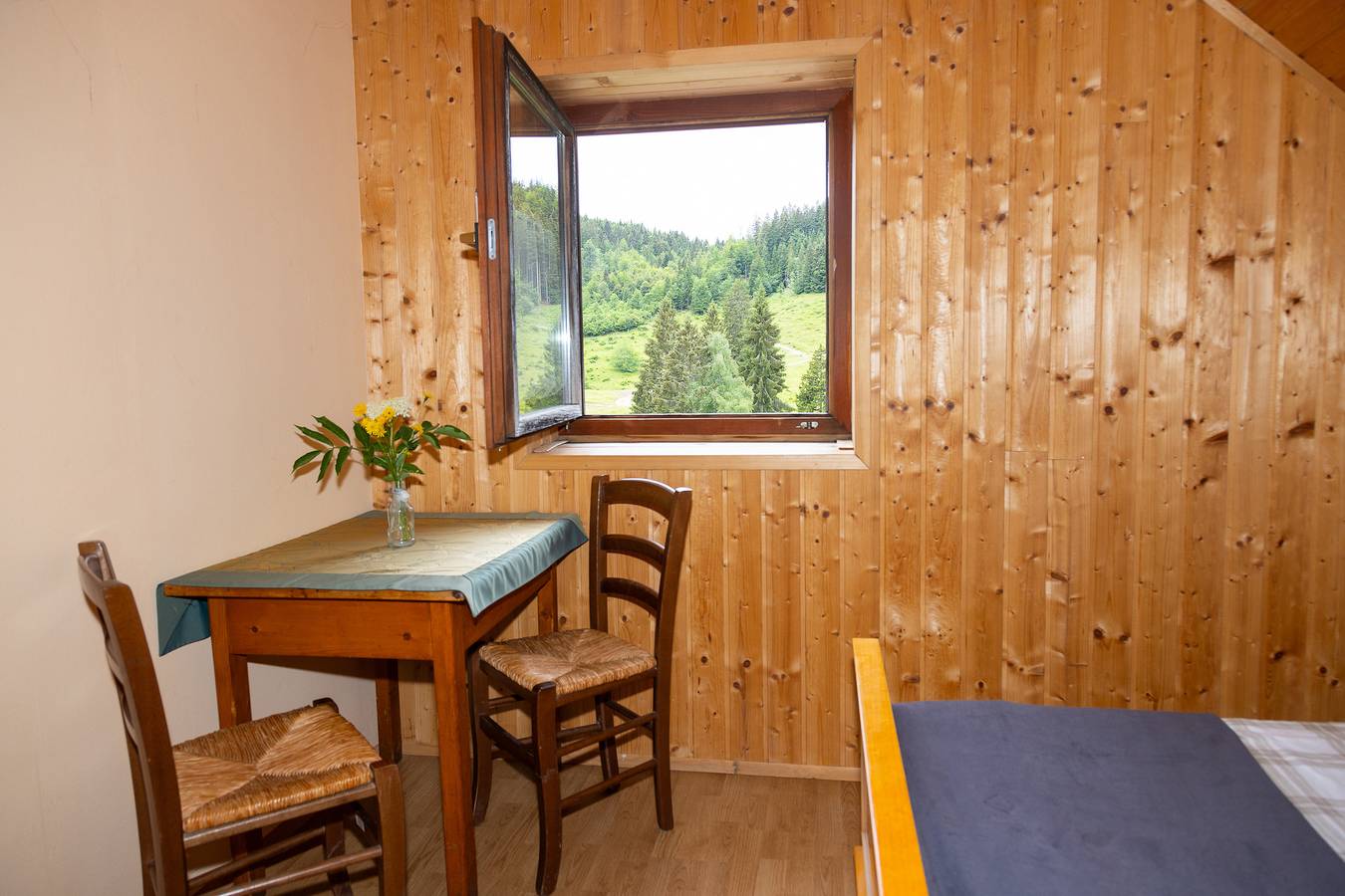 Goška Ravan Triple Room near Bled in Radovljica, Carniola