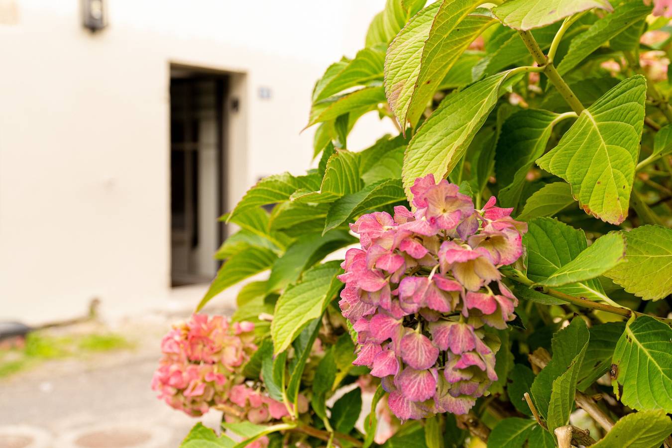 Vakantiehuis 'L'écrin De La Sèvre' met Wi-Fi, foto 14
