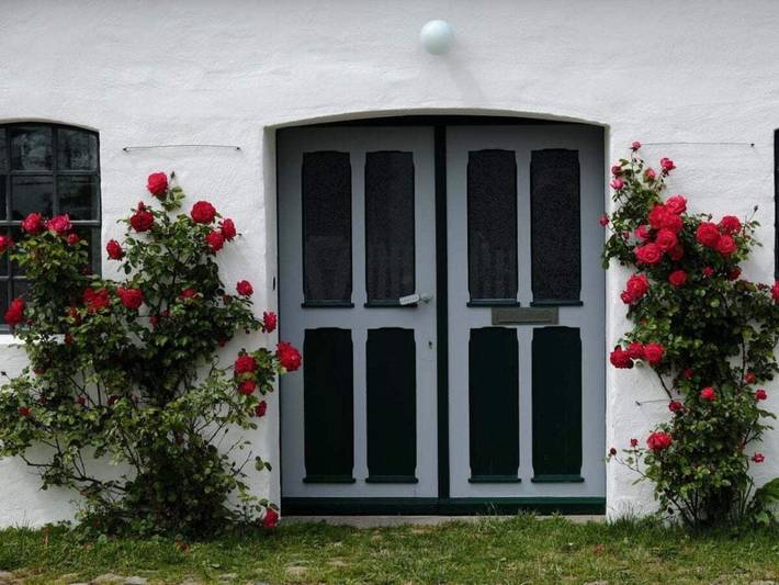 Ferienhaus für 8 Personen, mit Terrasse und Garten, mit Haustier in Oldenswort