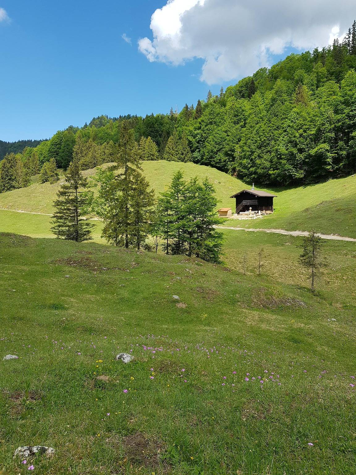 Apartamento vacacional entero, Ferienwohnung Koch - Ferienwohnung in Reit im Winkl, Alpes Bávaros