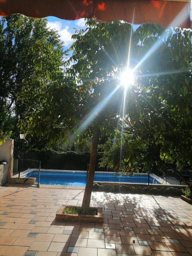 Casa rural para 8 personas, con Balcón y Terraza además de Jardín y Piscina en Torredonjimeno - 2