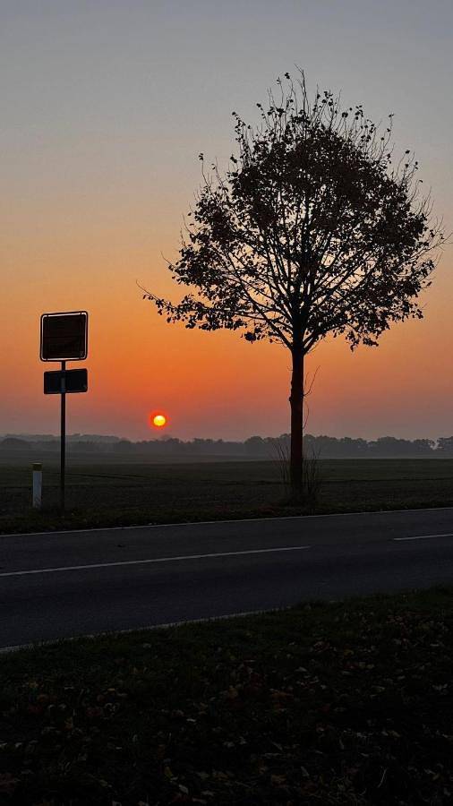 Ferienwohnung für 6 Personen, mit Ausblick und Seeblick sowie Garten in Dobin am See - 2