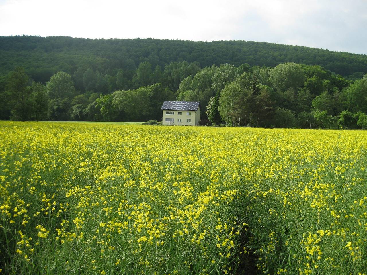 Ganze Wohnung, Ferienwohnung im Obergeschoss, Homberg in Homberg, Knüllgebirge