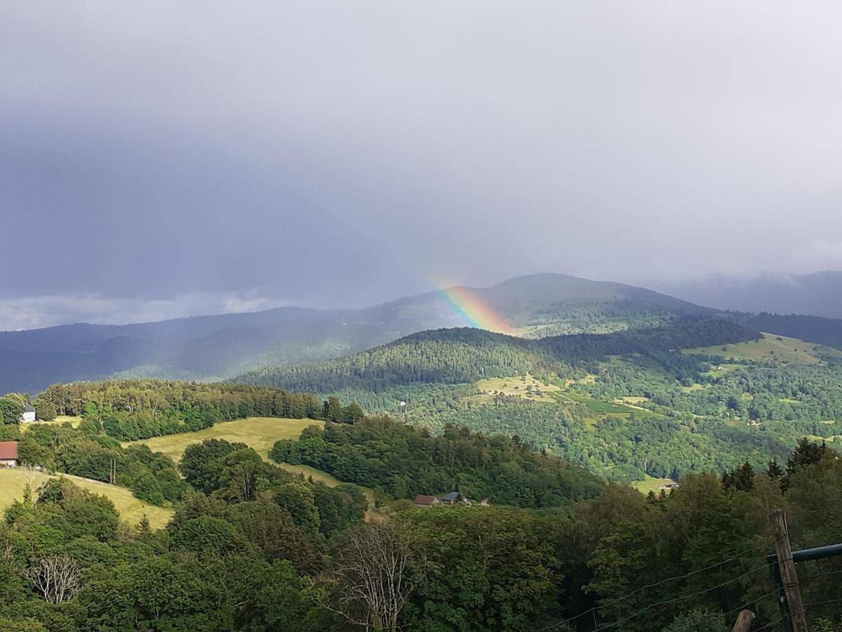Chambres Im-Berg in Metzeral, Parc naturel régional des Ballons des Vosges