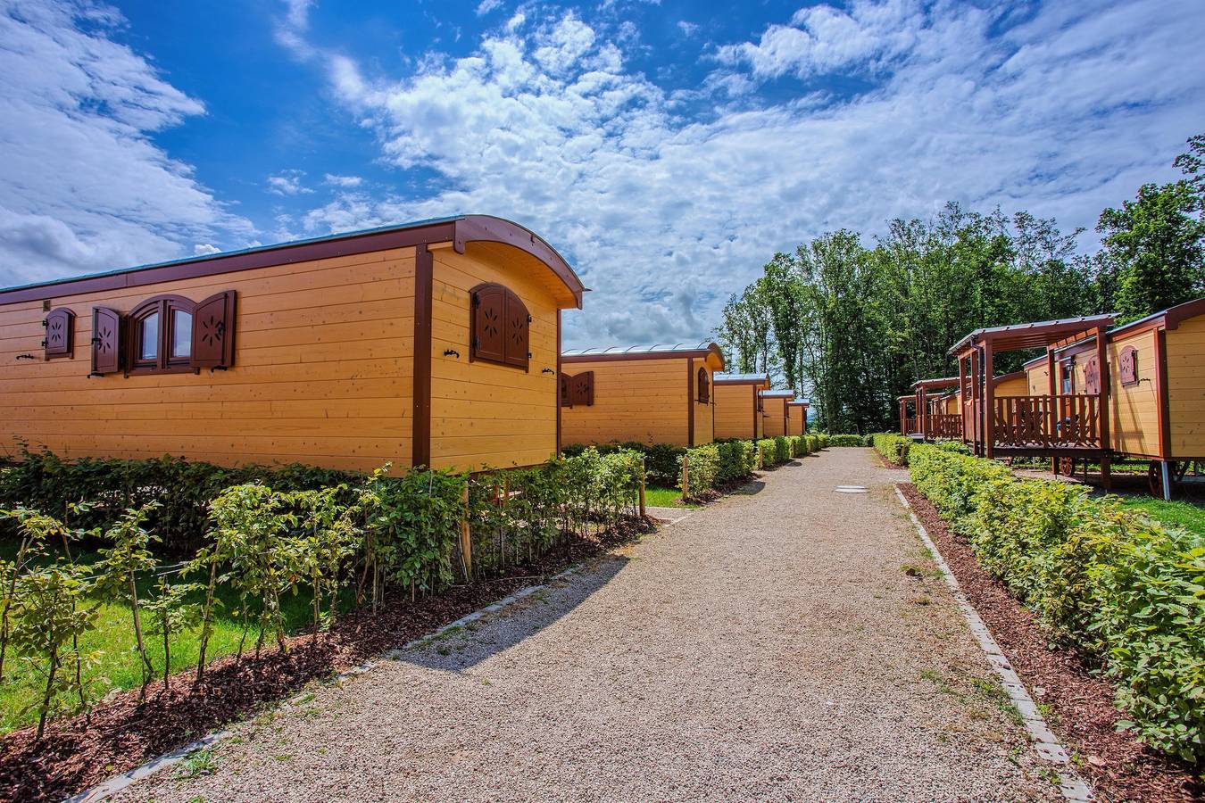 Naturwagen groß für bis zu 5 Personen in Freilingen, Blankenheim