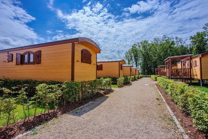 Ferienhaus für 5 Personen, mit Terrasse und Sauna sowie Seeblick, mit Haustier in der Eifel - 4