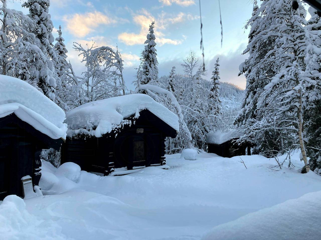 Cabane traditionnelle en rondins au bord du lac Seljordsvannet in Seljord