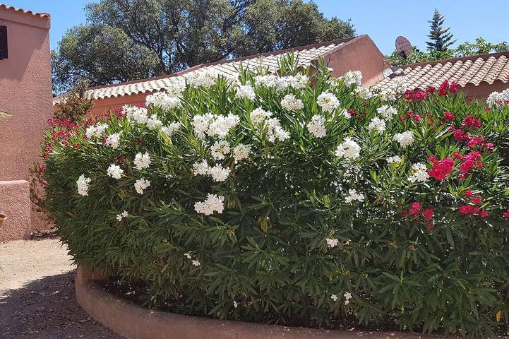 Location de vacances pour 8 personnes, avec jardin et balcon dans Port De Porto Vecchio