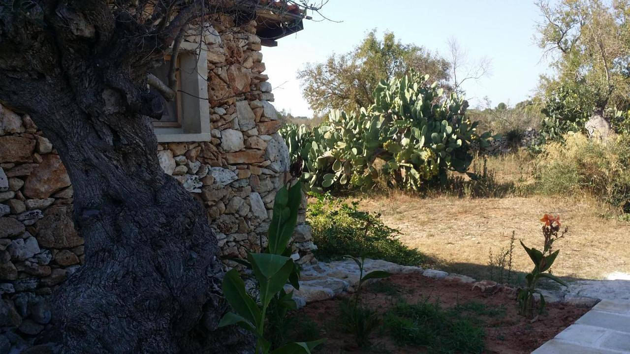 Appartamento intero, Agriturismo Tenuta La Siesta in Alezio, Golfo di Taranto