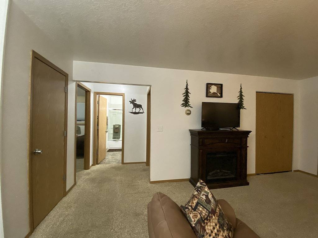 Ganze Wohnung, 2 Schlafzimmer, 1 Bad ruhige Lodge in der Nähe der Stadt mit Waldblick! in Kenai Peninsula