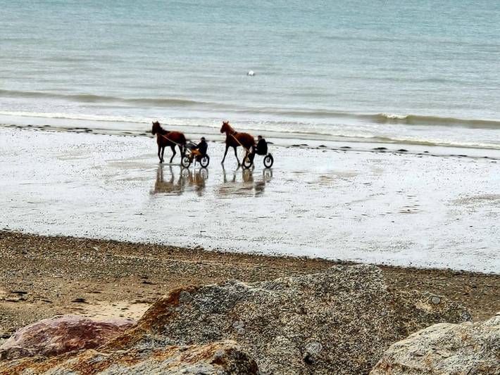Location de vacances pour 5 personnes, avec jardin et vue à Agon-Coutainville - 4