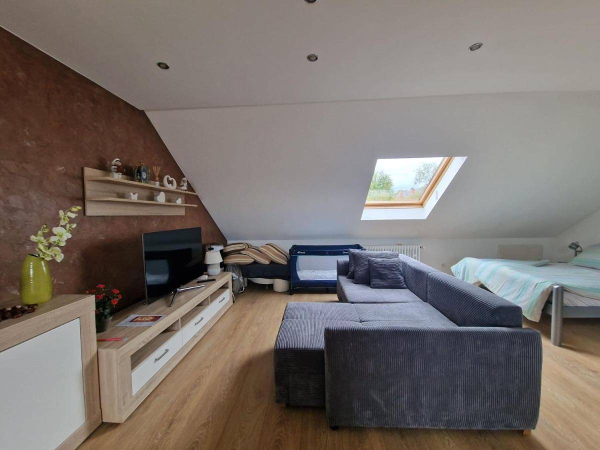 Geheel vakantieappartement, Double Room with Balcony (3 Adults) in Mannheim, Kurpfalz