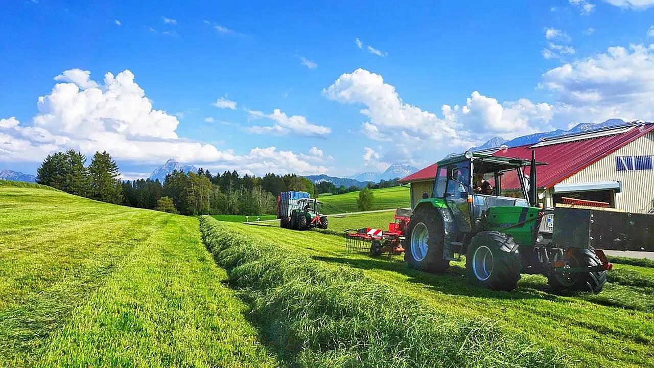 Ganze Ferienwohnung, Ferienwohnung für 5 Personen (70 m²) in Hopferau in Hopferau, Bayerisch Schwaben