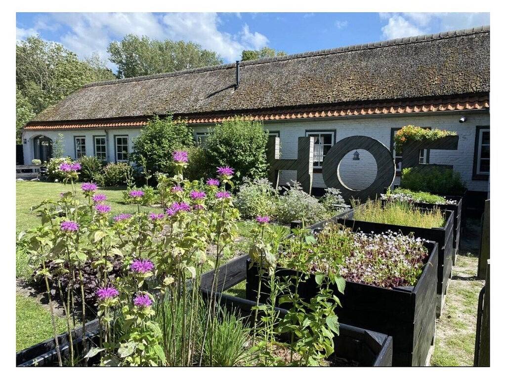 Vakantiehuis met 1 slaapkamer in Dishoek, Koudekerke (Walcheren)