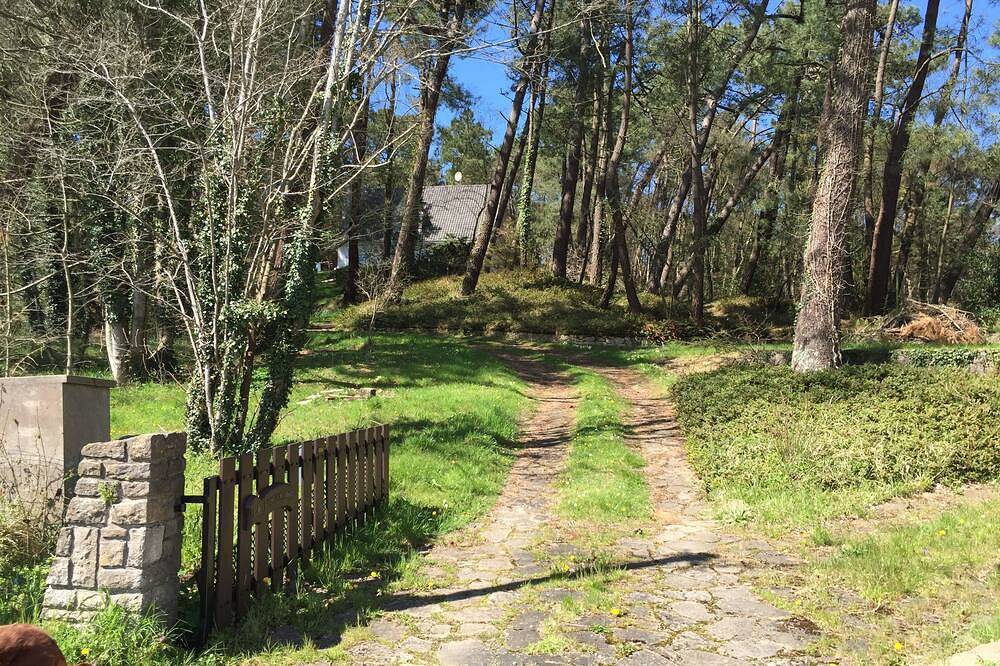 Condette-Hardelot, espaciosa villa en un bosque de pinos de 3000m2, bosque contiguo in Condette, Boulogne-sur-Mer region
