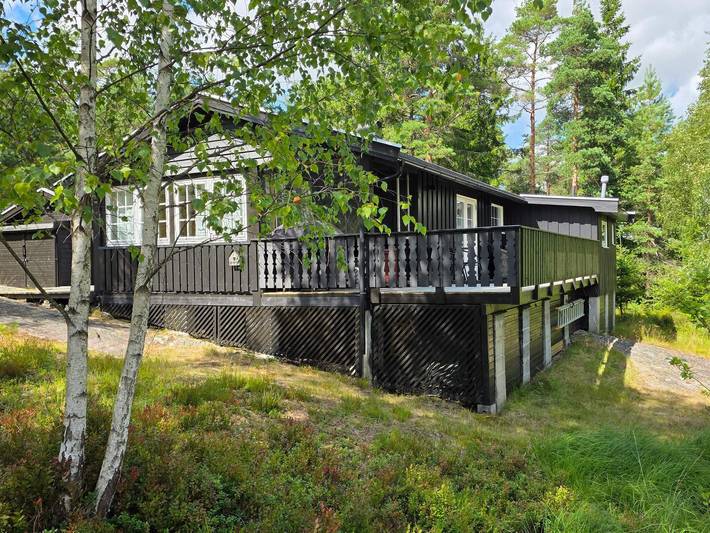 Ferieudlejning for 5 personer, med Terrasse i Norge