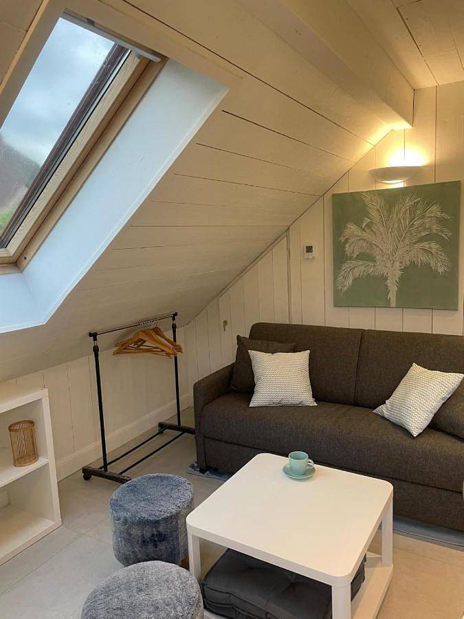 Chambre d’hôte pour 6 personnes, avec jardin ainsi que vue et vue sur le lac, animaux acceptés en Haute-Savoie - 4