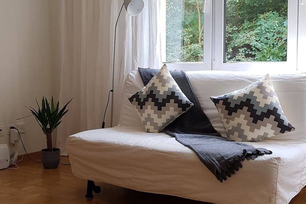 Ganze Wohnung, Budgetfreundliches Studio Typ Wohnung im Zentrum von Luzern in Luzern, Vierwaldstättersee