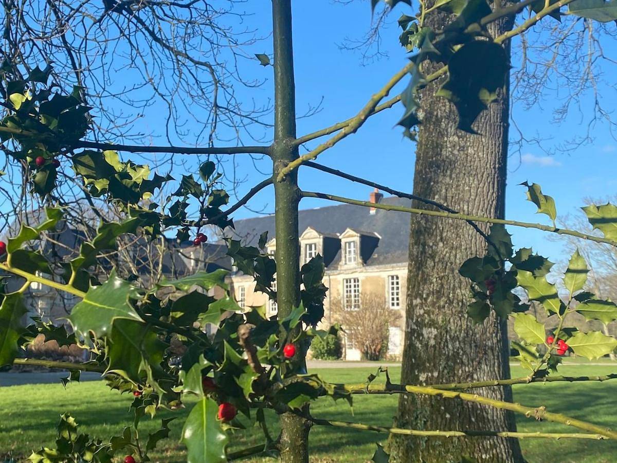 Appartement entier, Domitille in Avrillé, Vallée de la Loire