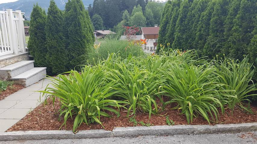 Ferienwohnung für 5 Personen, mit Garten und Terrasse, mit Haustier in Kaisergebirge - 3