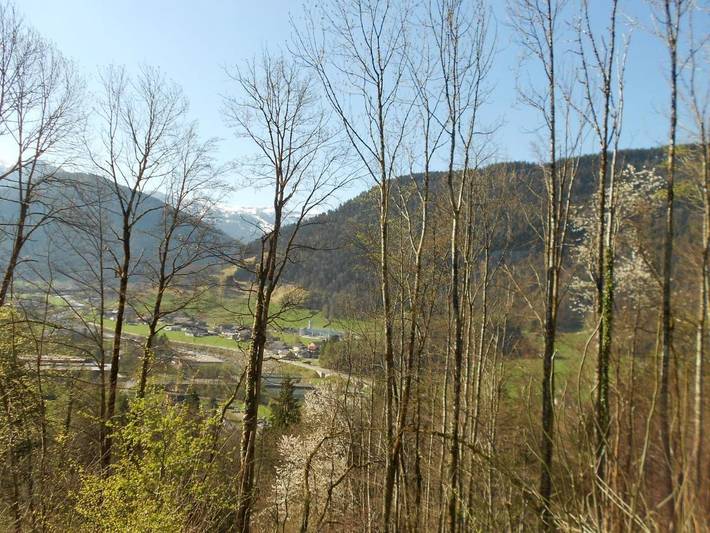 Gîte pour 10 personnes, avec sauna ainsi que vue et jardin, animaux acceptés à Bezau - 2