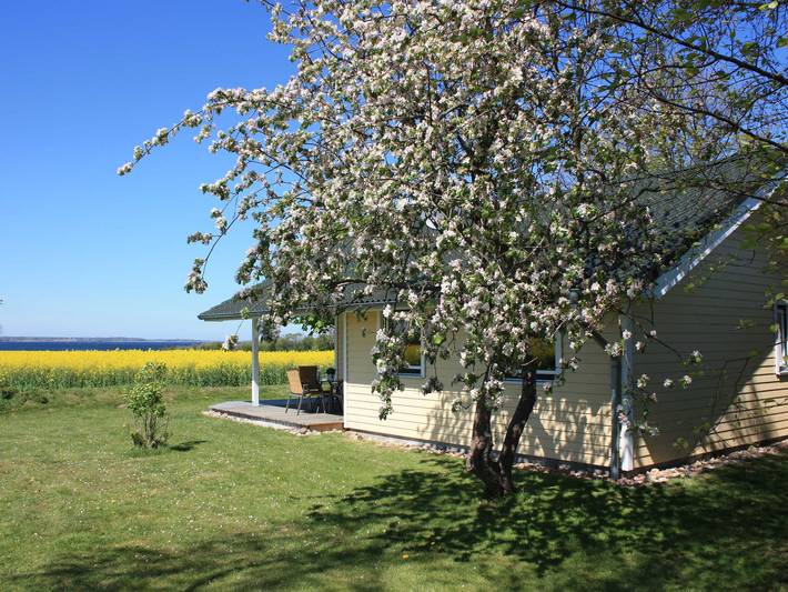 Ferienhaus für 4 Personen, mit Garten und Terrasse sowie Ausblick, kinderfreundlich in Schleswig-Holstein - 3