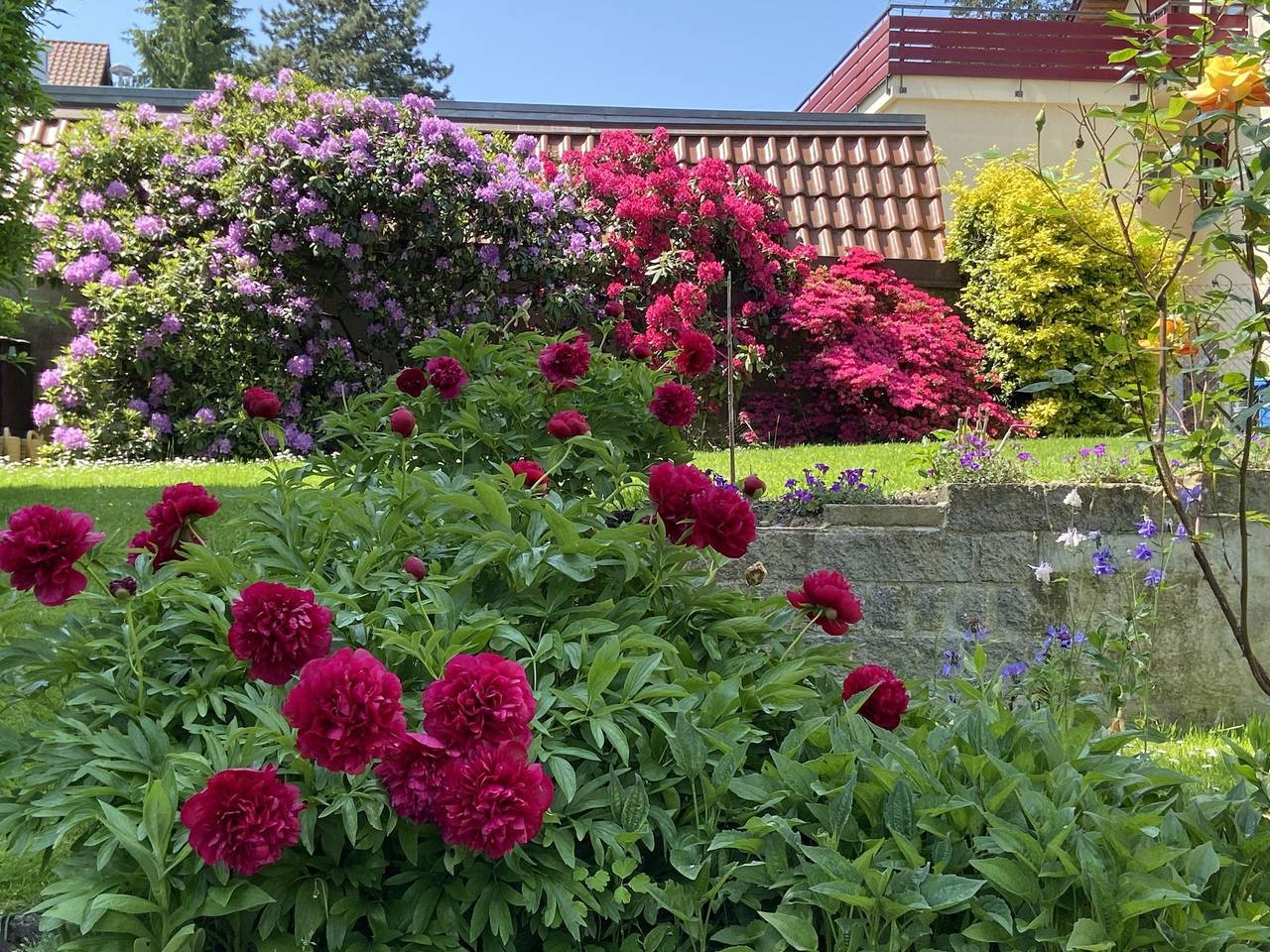 Ganze Ferienwohnung, Ferienwohnung Neubacher - Ferienwohnung, 60qm, 1 Schlafzimmer, max. 2 Personen in Uhldingen-Mühlhofen, Region Bodensee-Oberschwaben