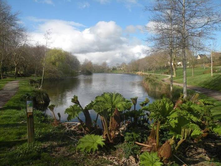 Location de vacances pour 4 personnes, avec Terrasse et Jardin à Plabennec - 4