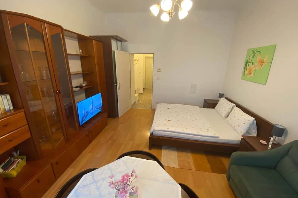 Apartamento entero, Apartamento 3 1 - Haus Prinz in Viena, Donau Niederösterreich