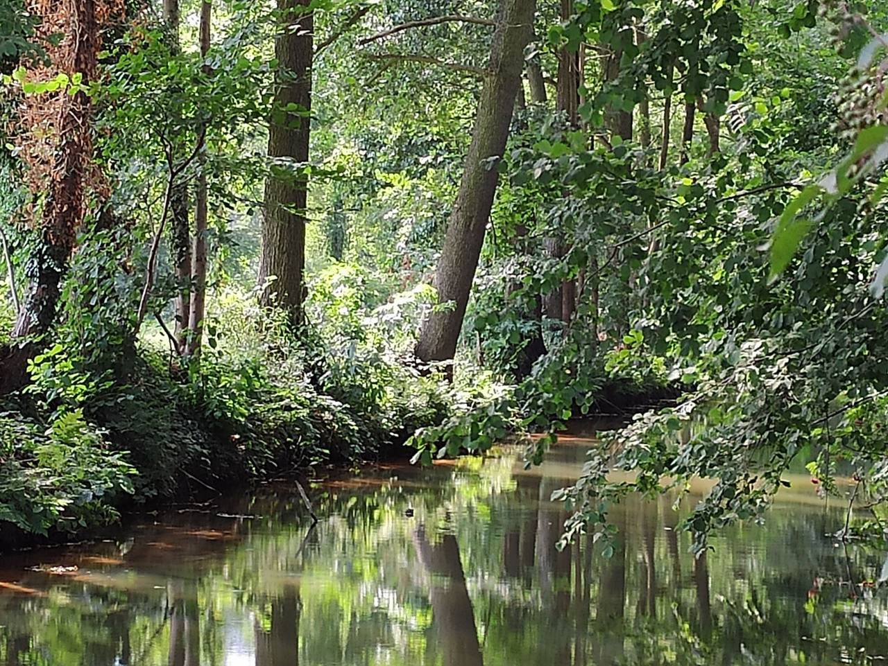 Ganze Ferienwohnung, Ferienhaus am Holunderfließ in Byhleguhre-Byhlen, Dahme-Spreewald