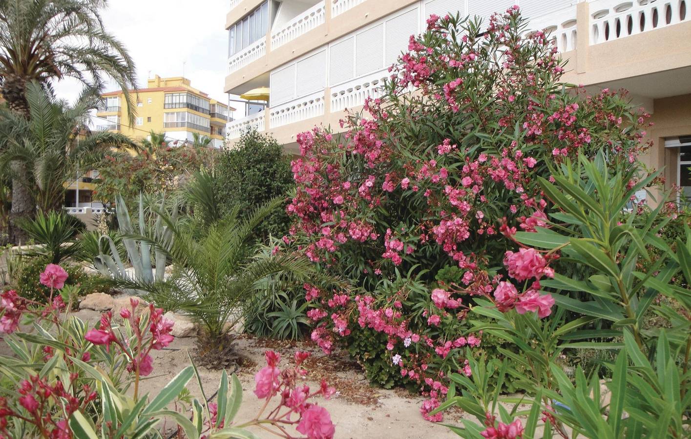 Vakantieappartement voor 3 personen met terras, foto 10
