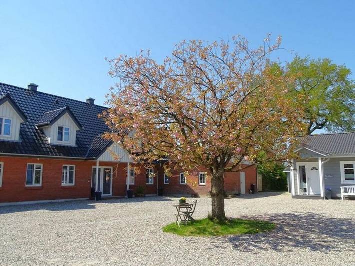 Ferienhaus für 6 Personen, mit Garten und Sauna in Dollerup - 2