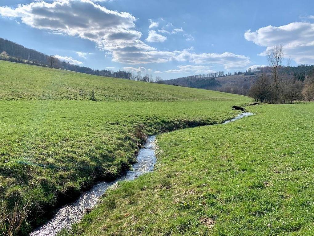 Ganze Ferienwohnung, Auszeit Loft im Wanderparadies in Hessisch Lichtenau, Werra-Meißner-Kreis